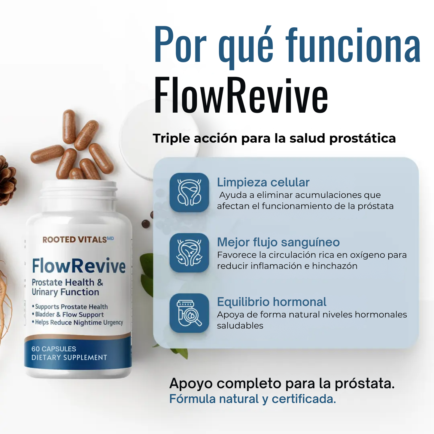 ProstaFlow | Alivio natural para la próstata y el flujo urinario