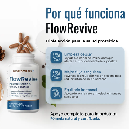 ProstaFlow | Alivio natural para la próstata y el flujo urinario